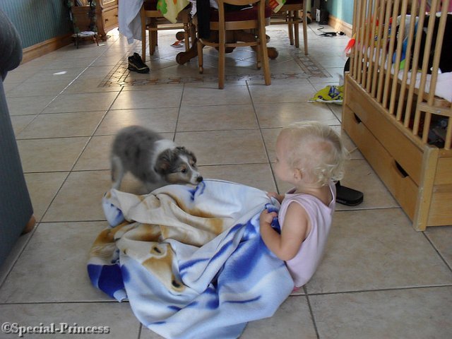 Puppy Diesel